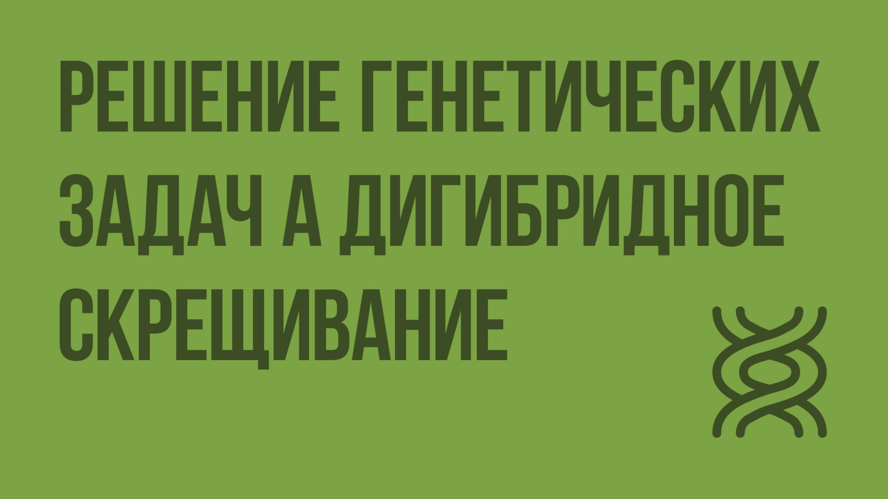 Решение генетических задач на дигибридное скрещивание. Видеоурок по биологии 10 класс