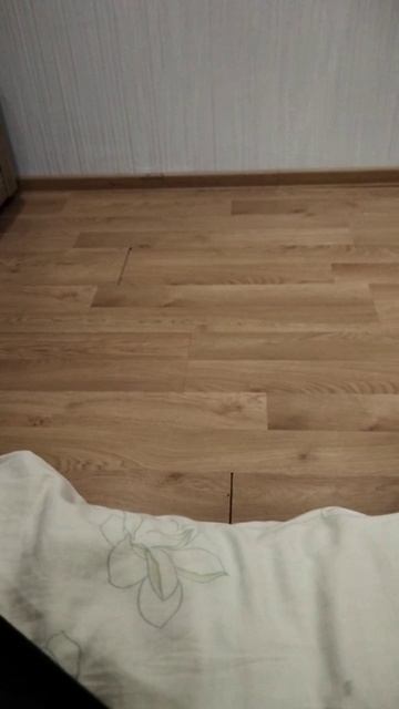 lv_0_20250128165736.mp4