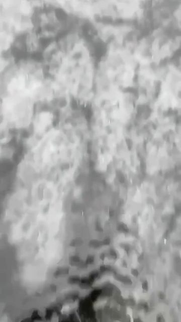 ⛸️В Мытищах безумцы катаются на коньках по практически растаявшему озеру⛸️