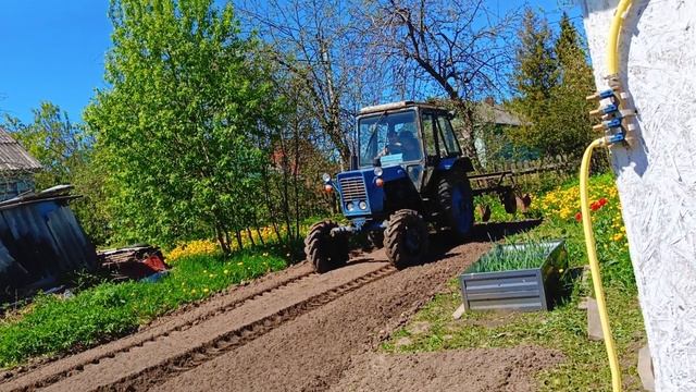 Работа в огороде фризой МТЗ-82.