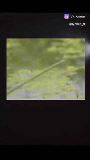 28-01-2025