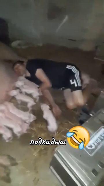 Старшенький уже НАКУШАЛСЯ 😂