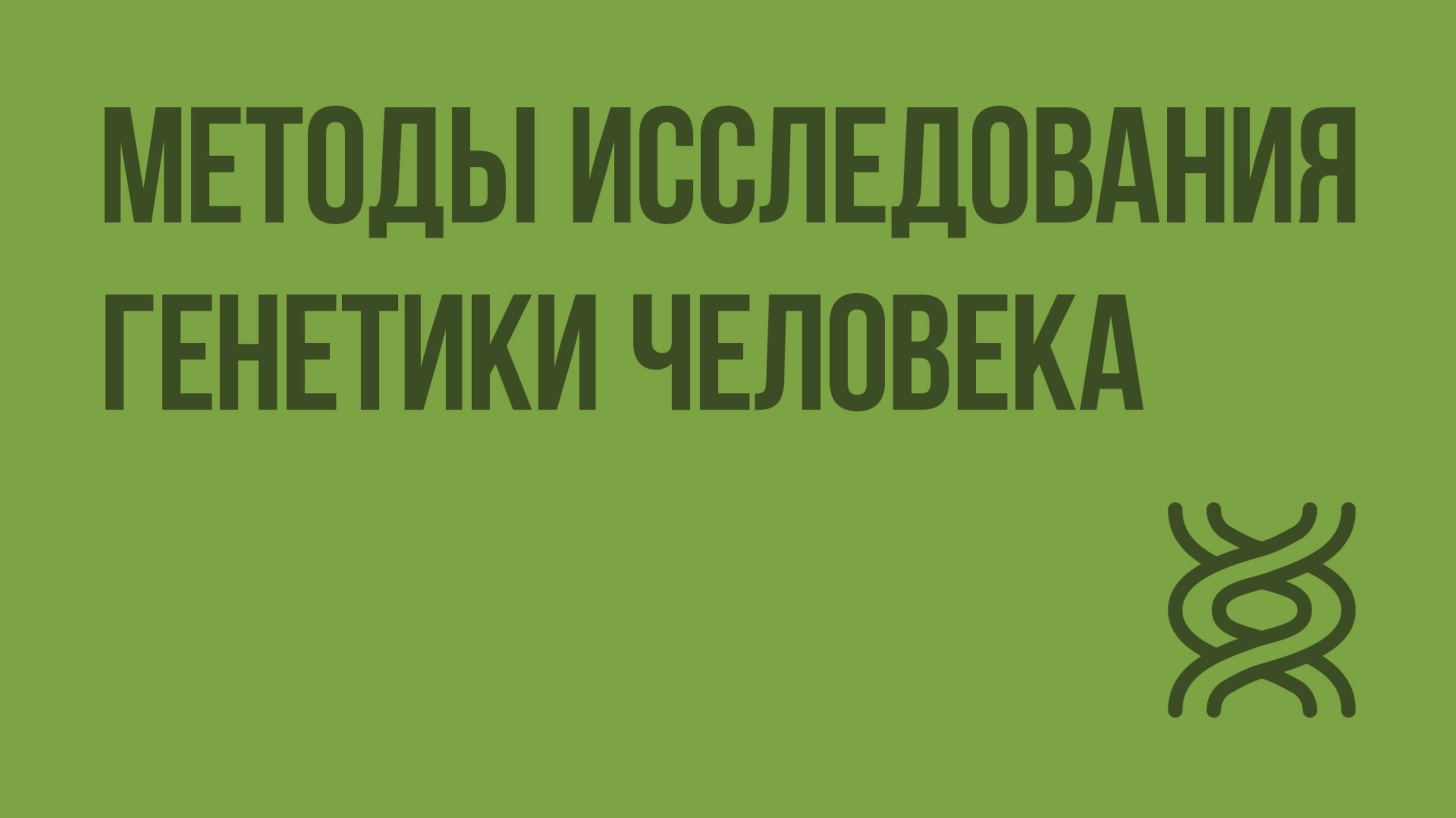 Методы исследования генетики человека. Видеоурок по биологии 10 класс