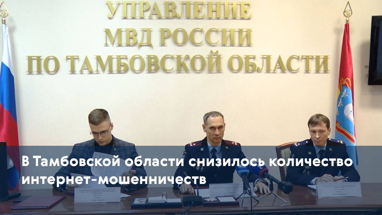 В Тамбовской области снизилось количество интернет-мошенничеств