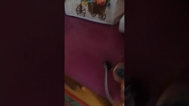 упоратая анимация#7 серия: закулисье
