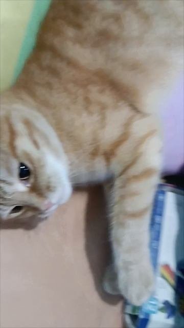Дай 5
 будешь вонять