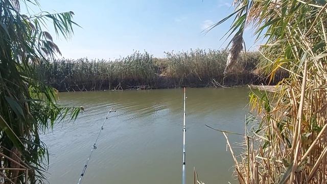 рыбалка на дгк х Лебеди Краснодарский край