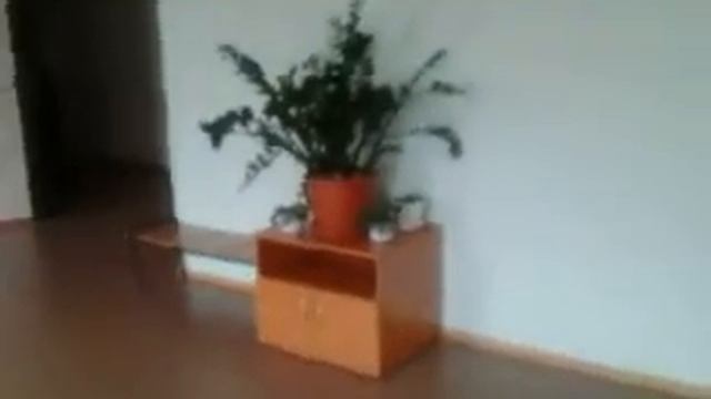 Любовь до гроба часть 1