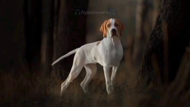 А И  Куприн   Собачье счастье