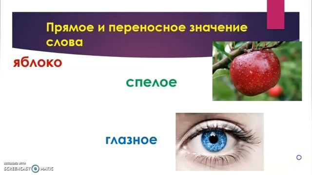 Синонимы (5 класс русский язык).Учителя: С. В. Жунда, Т. В. Сараева