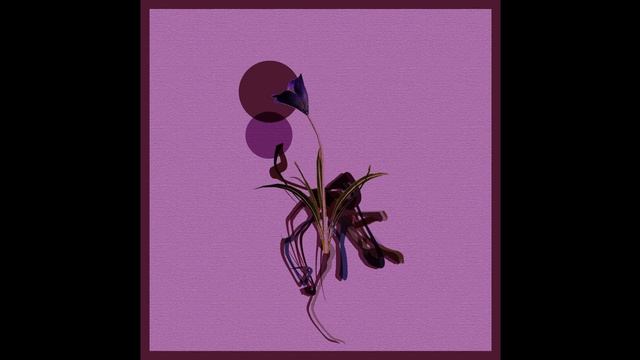 alg0rh1tm - Induced Ascension [Teorema]