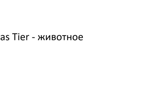 Главное слово в немецком! Изучение немецкого языка §244
