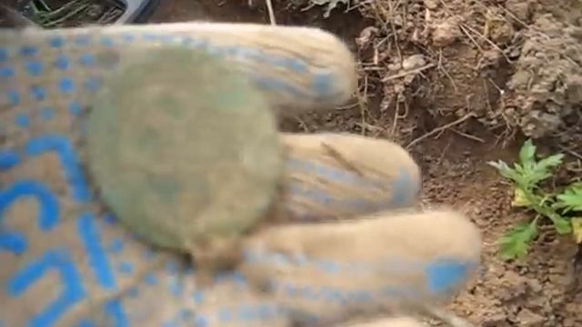 Крупное СЕРЕБРО!!! Даже не вериться что такие монеты ещё есть в полях!!!