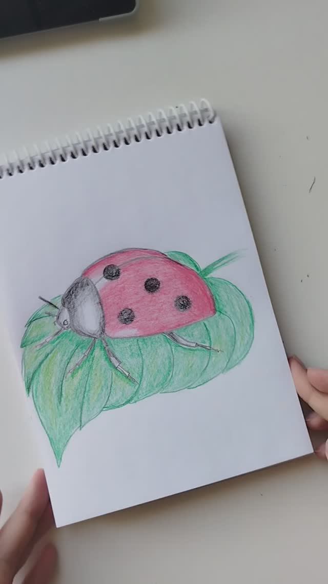 Рисунок карандашом / божья коровка