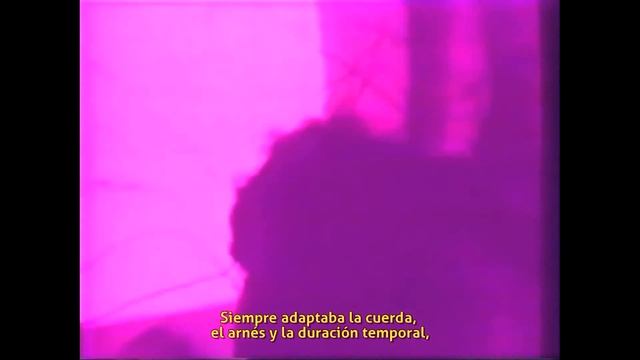 Carole Schnemann = Hasta incluyendo sus límites