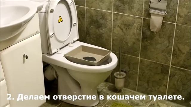 Как приучить кошку ходить в унитаз