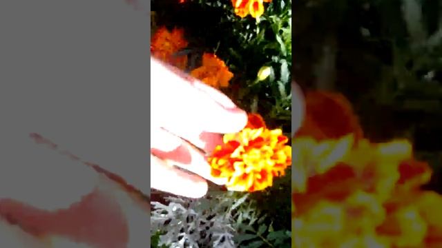 Деревня Одоев