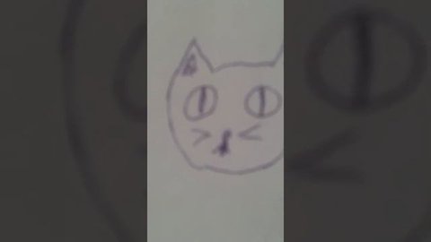 Язык котов.