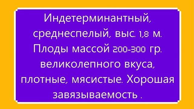 Каталог томатов 2024 г. Часть 6. Проверенные сорта.  г. Киров.