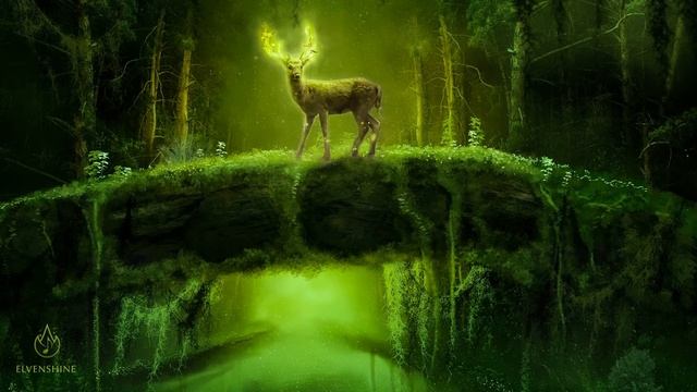 Enchanting Forest Music For Relaxation 🌳 Elven Fantasy Music _ Spirits Of The Woodland