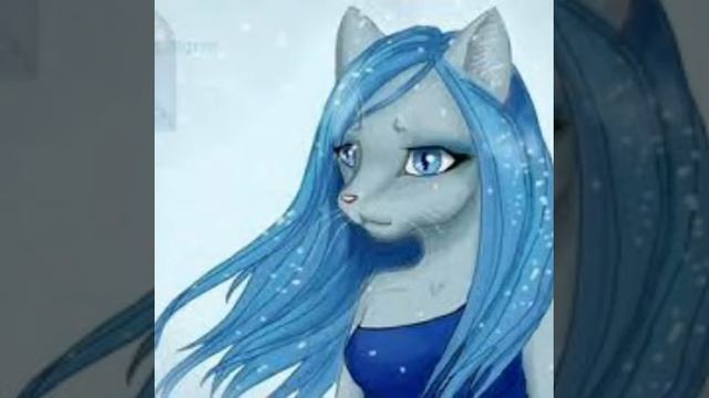 Кошка воительница Синия  Звезда