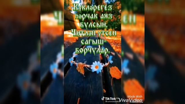 Ак карларны көтәм