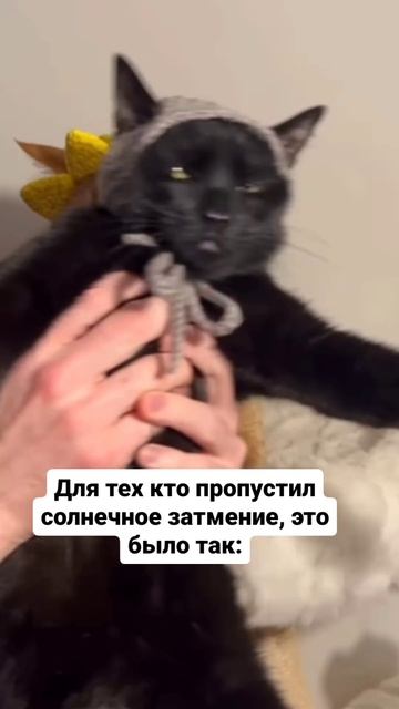 Солнечное затмение