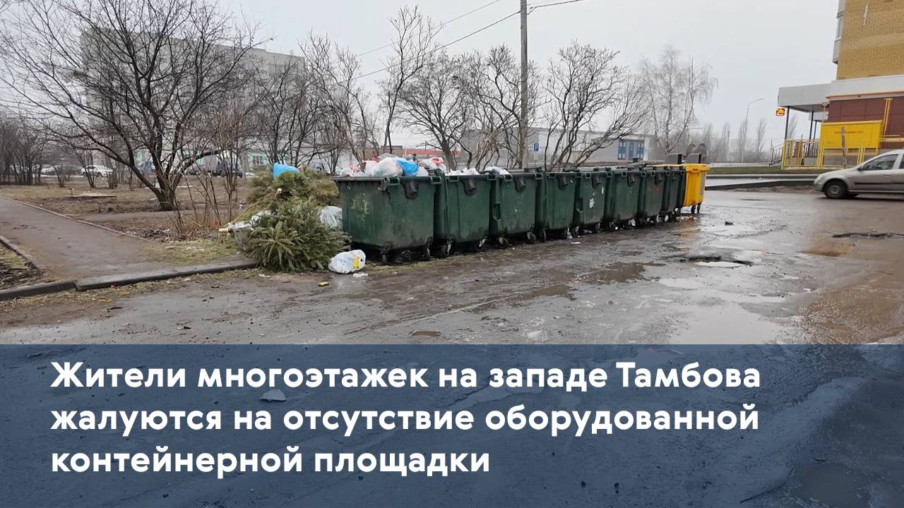 Жители многоэтажек на западе Тамбова жалуются на отсутствие оборудованной контейнерной площадки