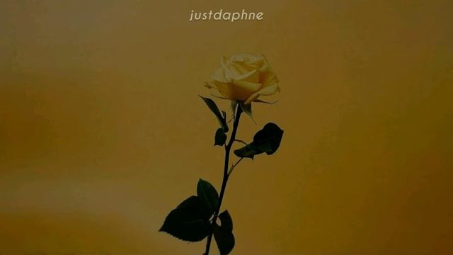 Ashe - I'm Fine (Türkçe Çeviri)