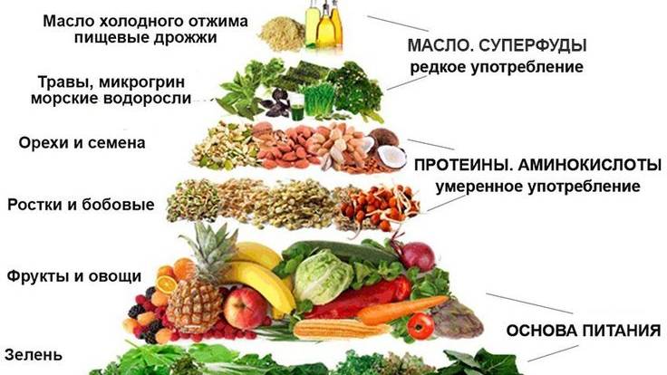 сыроедение часть 7