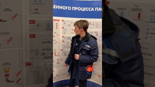 Разложили по полочкам