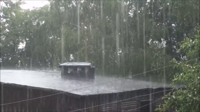 Звенела скрипкой тишина...