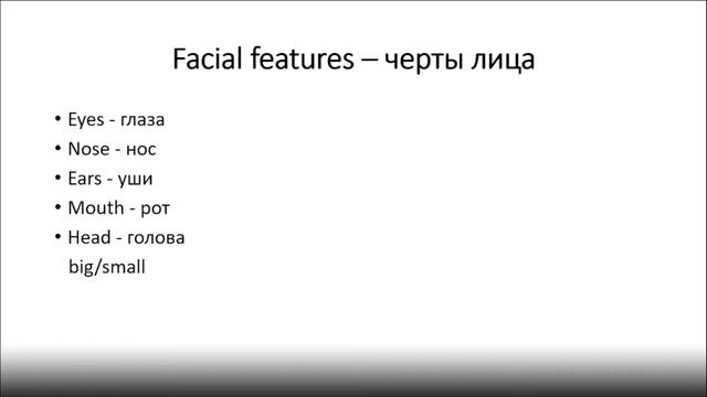 Внешность Spotlight 6