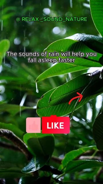 The sounds of rain will help you fall asleep faster / relaxing #relaxingmusic  #videoshorts