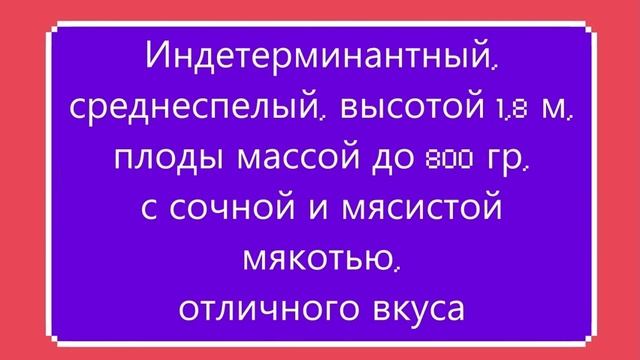 Каталог томатов 2024 г. Часть 1 Проверенные сорта. г. Киров