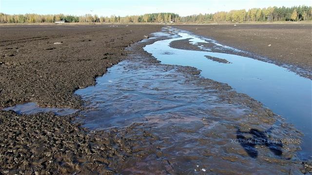 Летаю над спущенным прудом . Вижу рыбу. Много рыбы