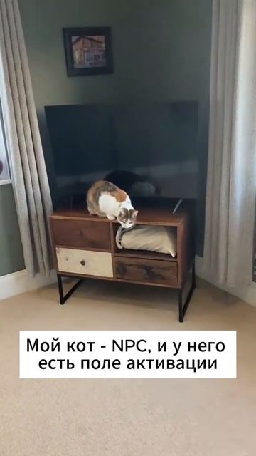 NPC кот