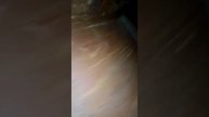 Заброшенный магазин часть 1