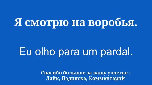 Основы португальской лексики
