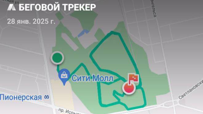 28.01.2025 г., ВТ, получился мощный и воодушевляющий бег