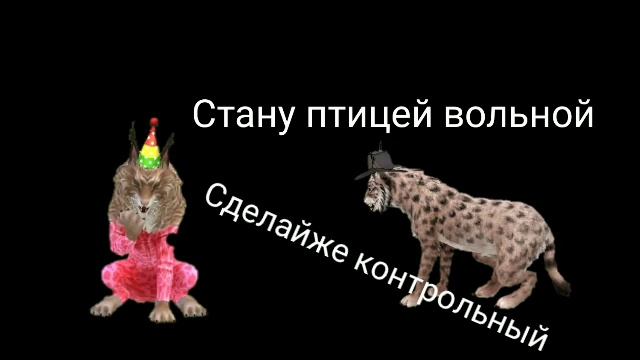 Wcvm|Почему так больно