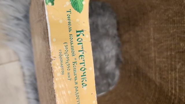 PXL_20250128_121544501.mp4