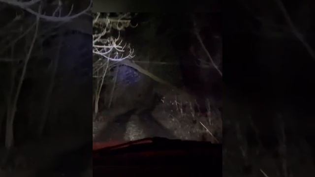 видео от подписчика))))