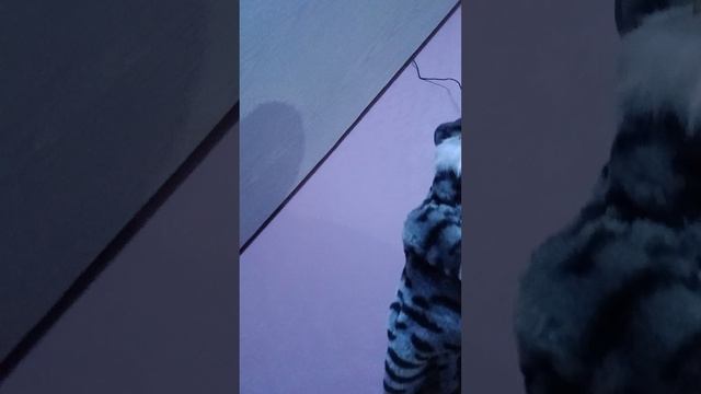 1000011428.mp4