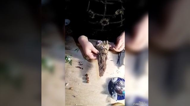 "Домовёнок на коре"Мастерим домашний оберег.