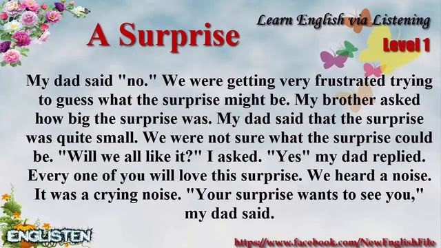 A Surprise Learn Unit 98  English via Listening Level 1