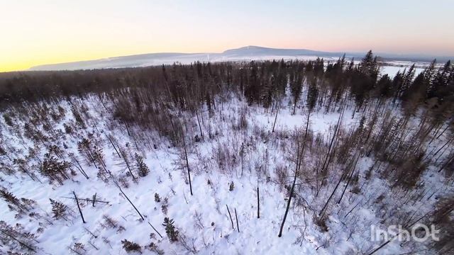 По следам Лисы Соболя