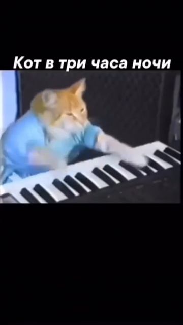 Умная кормушка
