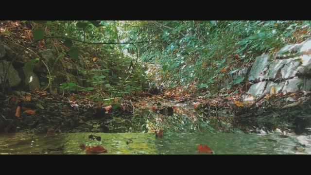 How to Film and Edit on iPhone