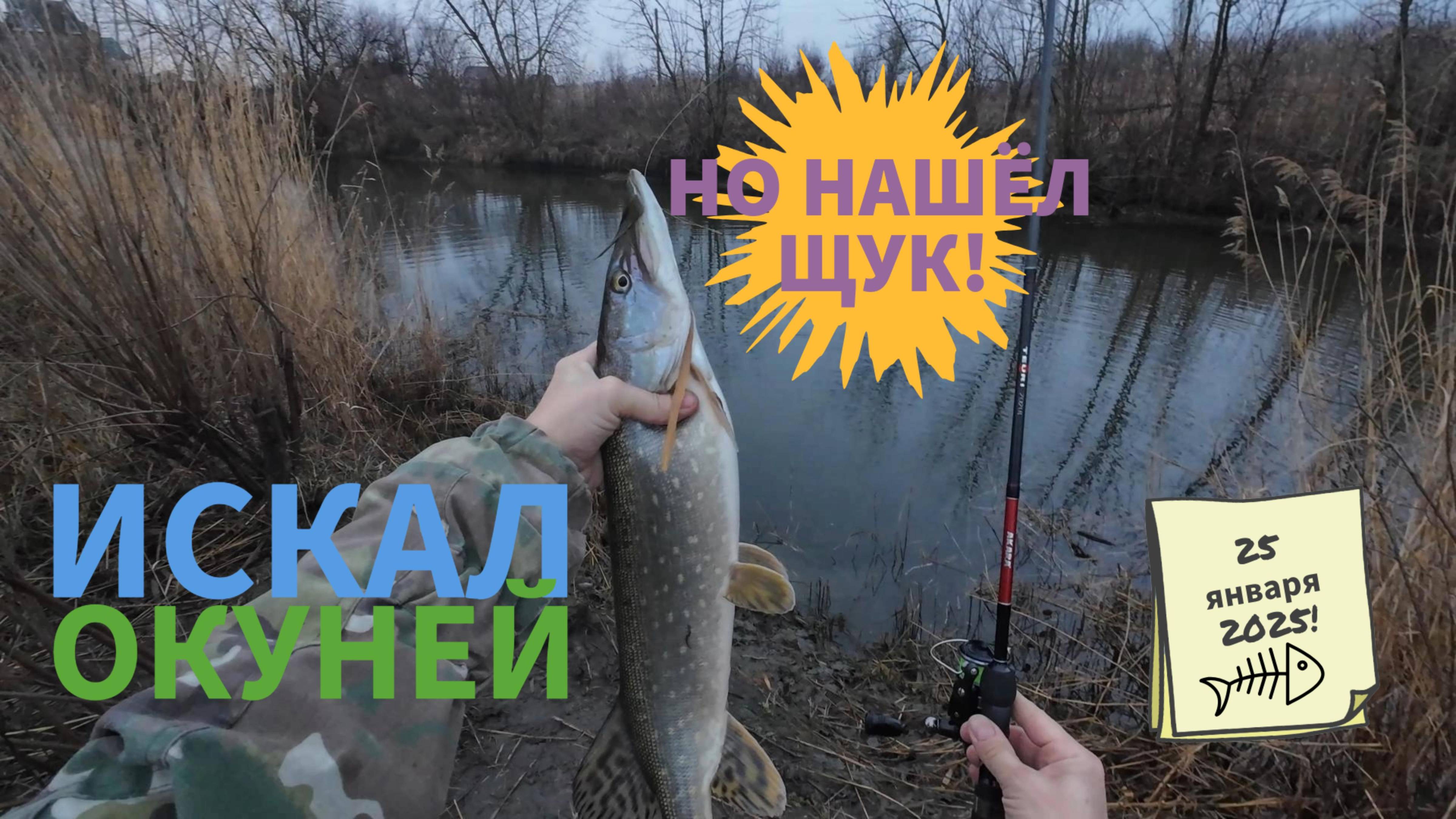 Искал окуней но нашёл щук, на открытой воде 2025